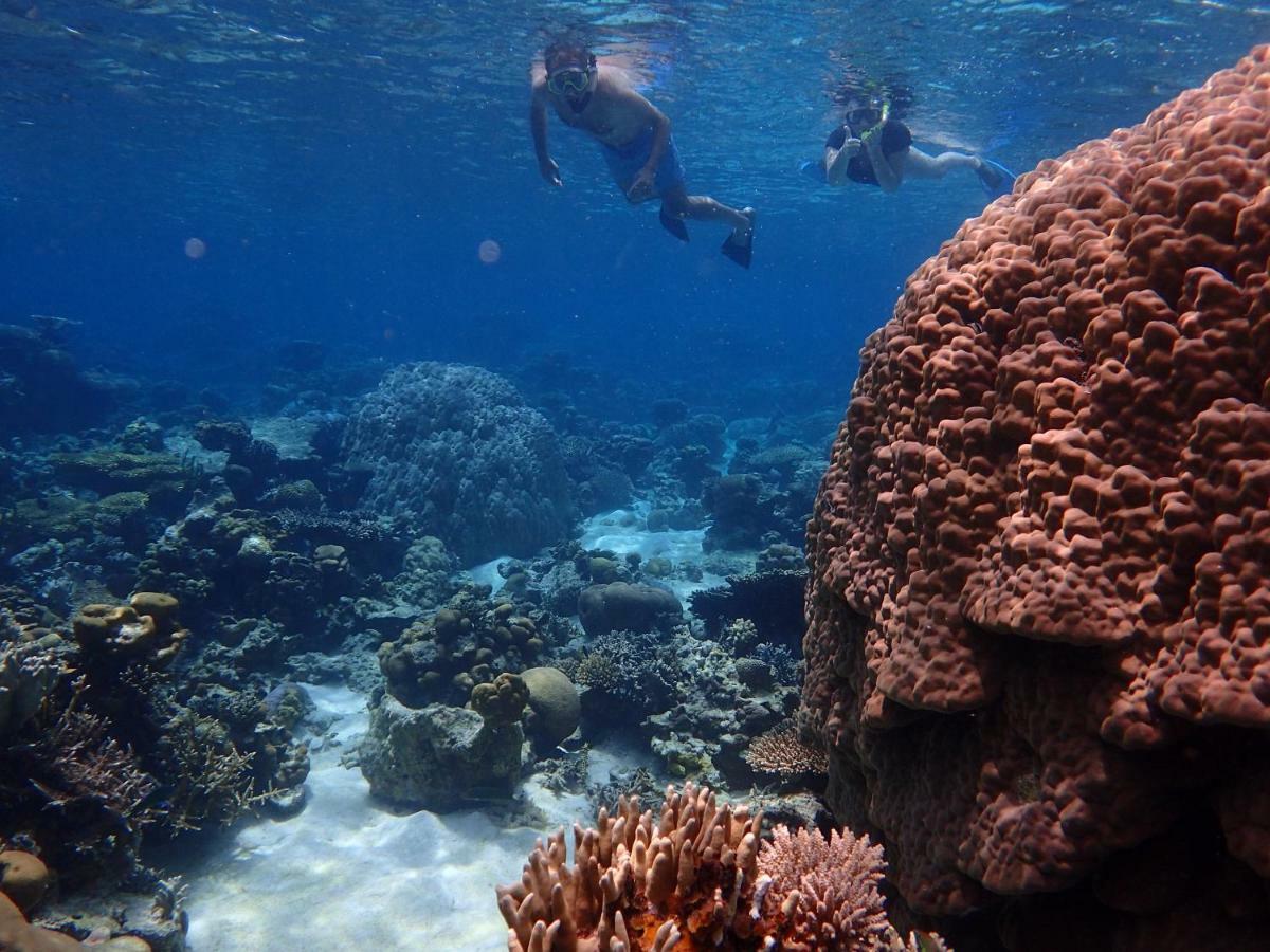 Blue Coral Homestay Karimunjawa Exteriér fotografie
