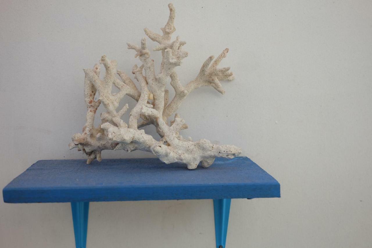 Blue Coral Homestay Karimunjawa Exteriér fotografie